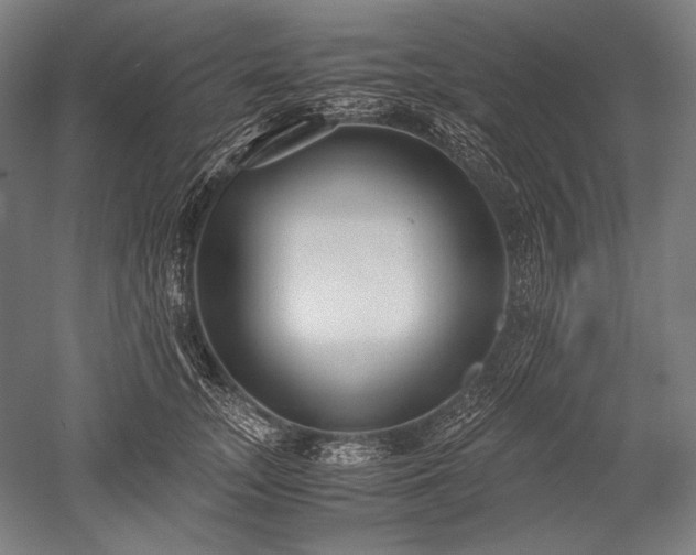 X0000052550755200507081609