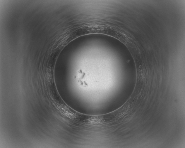 X0000052550756200507081609