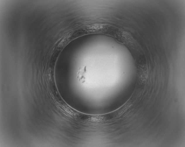 X0000052550758200507081609