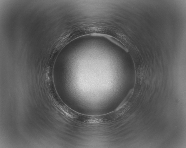 X0000052550760200507081609