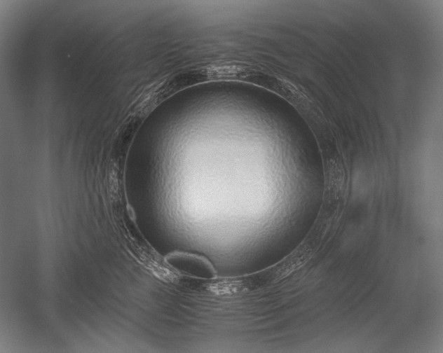 X0000052550761200507081609