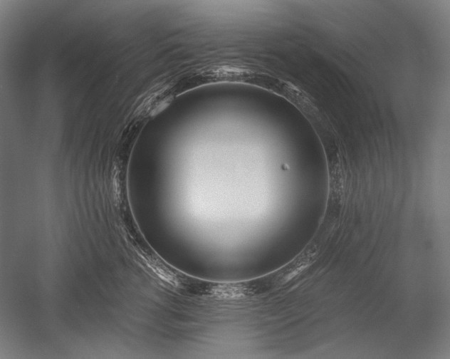 X0000052550762200507081609