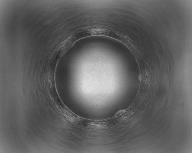 X0000052550763200507081609