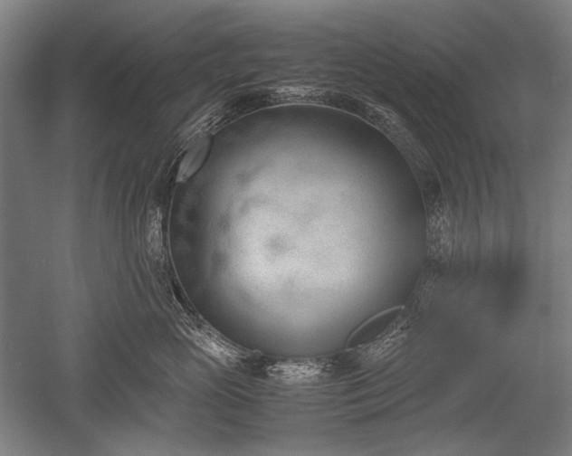 X0000052550765200507081609