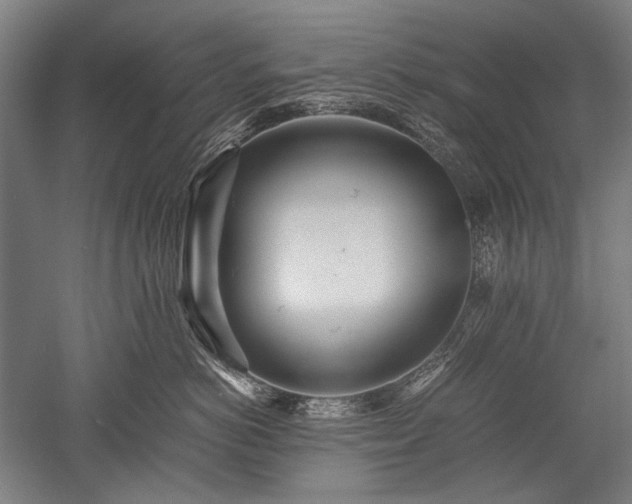 X0000052550766200507081609