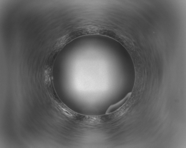 X0000052550768200507081609