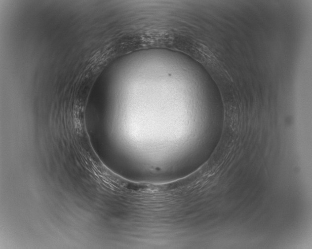 X0000052550770200507081608