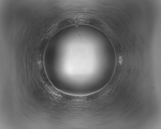 X0000052550771200507081608