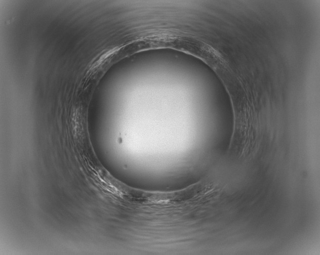 X0000052550773200507081608