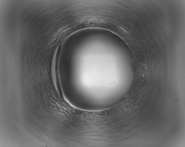 X0000052550774200507081608