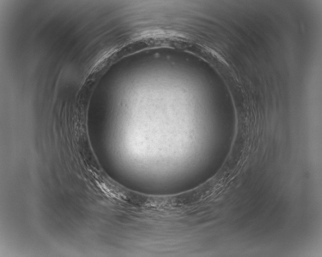 X0000052550775200507081608