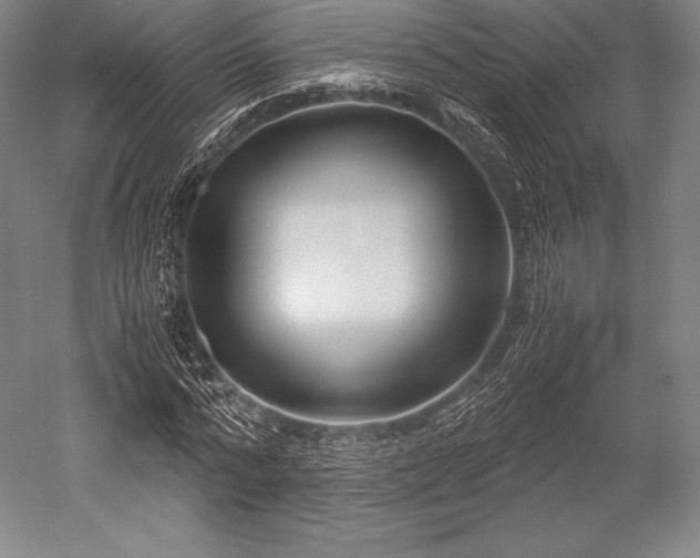 X0000052550776200507081608