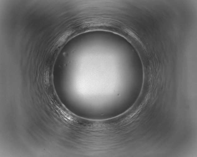 X0000052550777200507081608