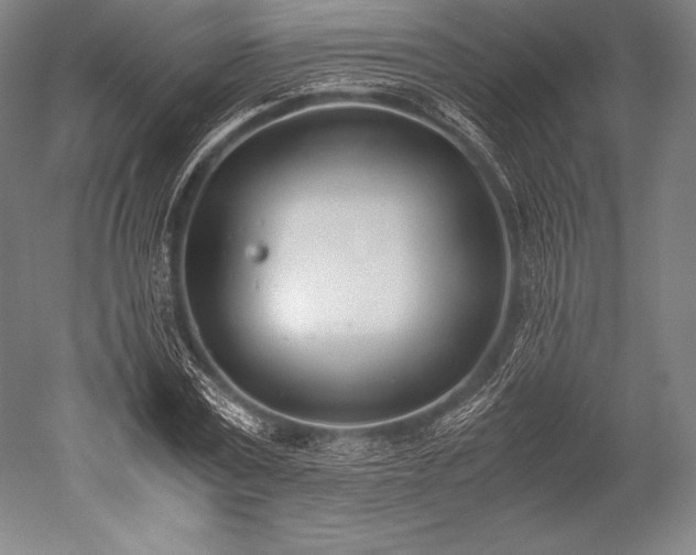 X0000052550779200507081608