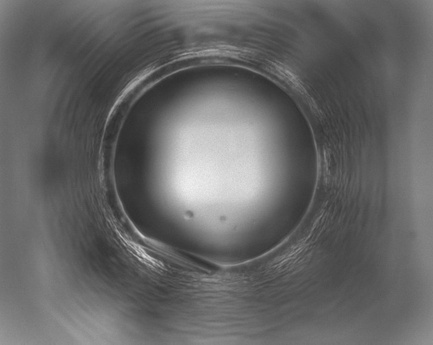 X0000052550780200507081608