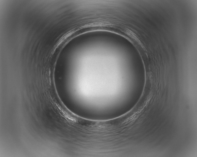 X0000052550781200507081608