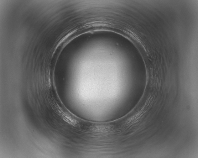 X0000052550782200507081608