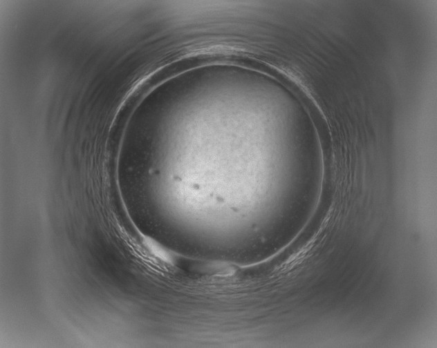 X0000052550783200507081608