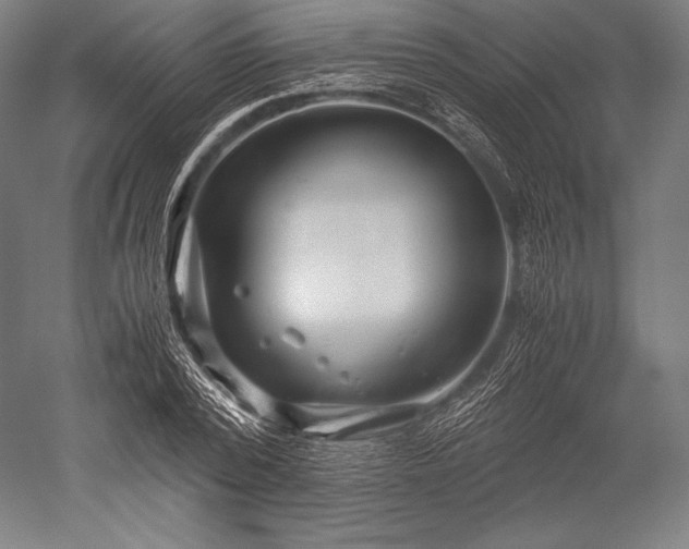 X0000052550784200507081608