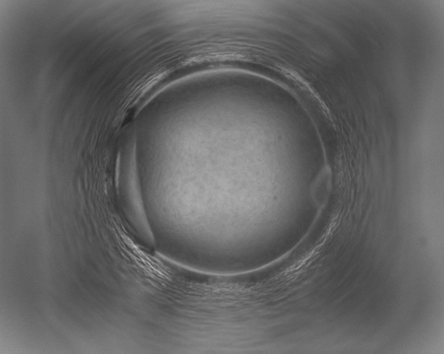 X0000052550785200507081608