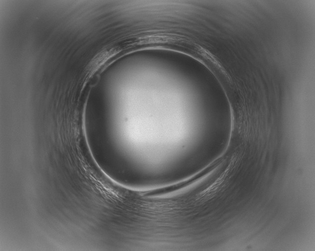 X0000052550786200507081608