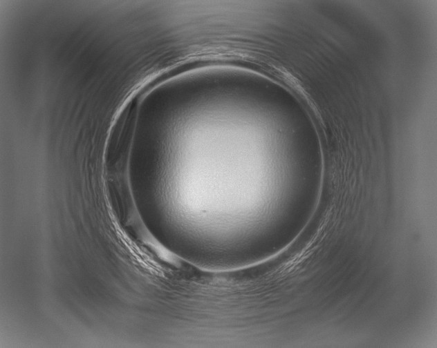 X0000052550787200507081608