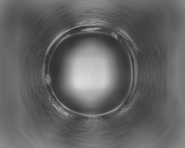 X0000052550788200507081608