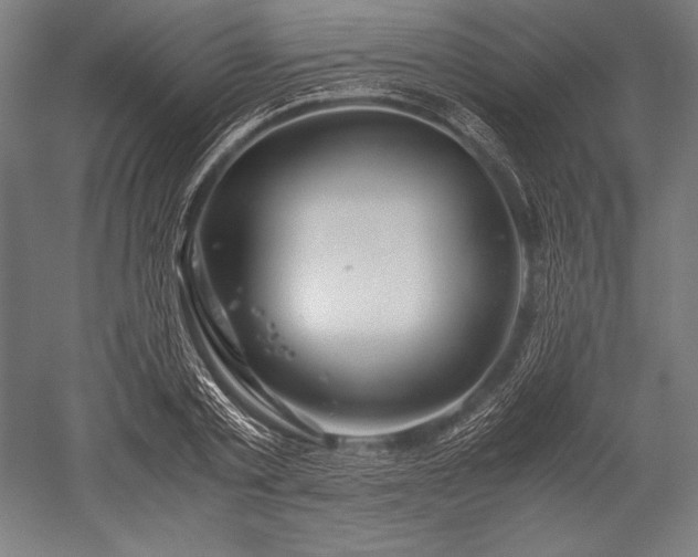 X0000052550789200507081608