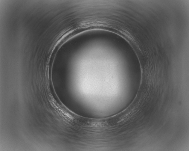 X0000052550790200507081608