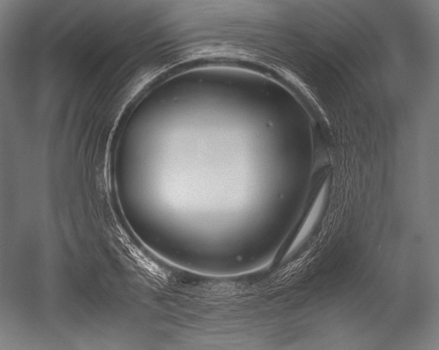 X0000052550791200507081608