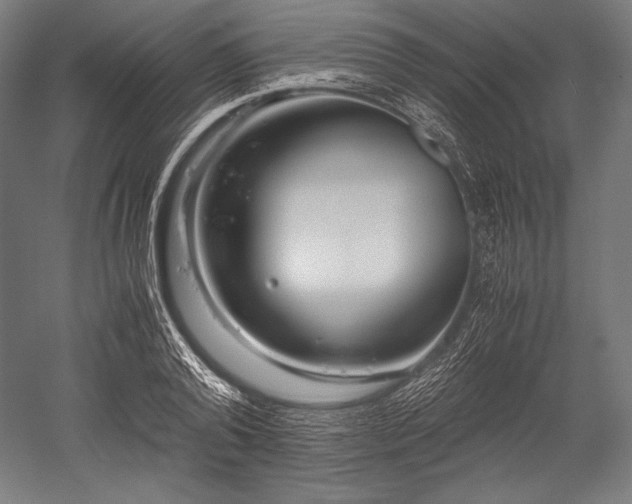 X0000052550792200507081608