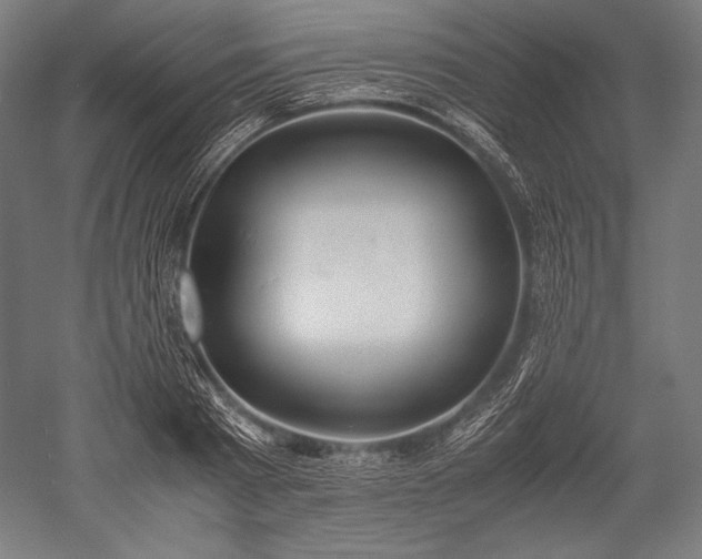 X0000052550793200507081608