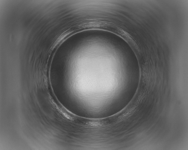 X0000052550794200507081608