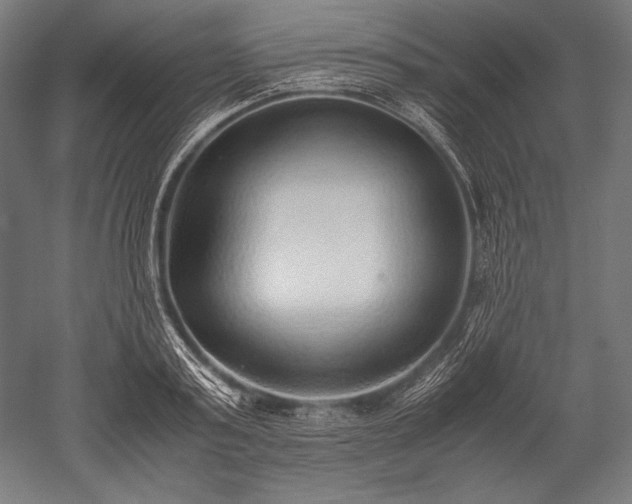 X0000052550795200507081608