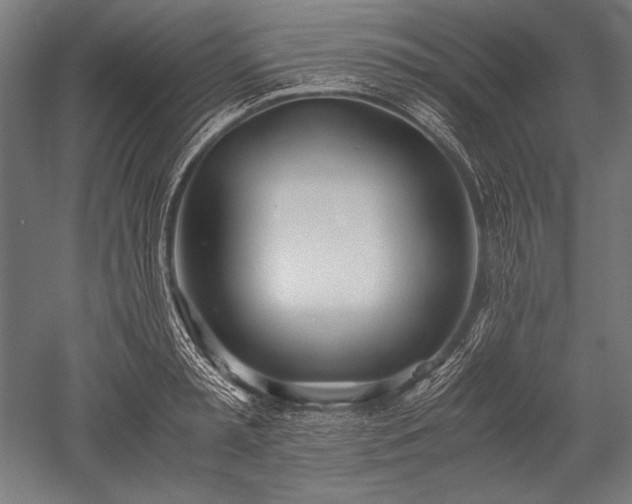 X0000052550797200507081608