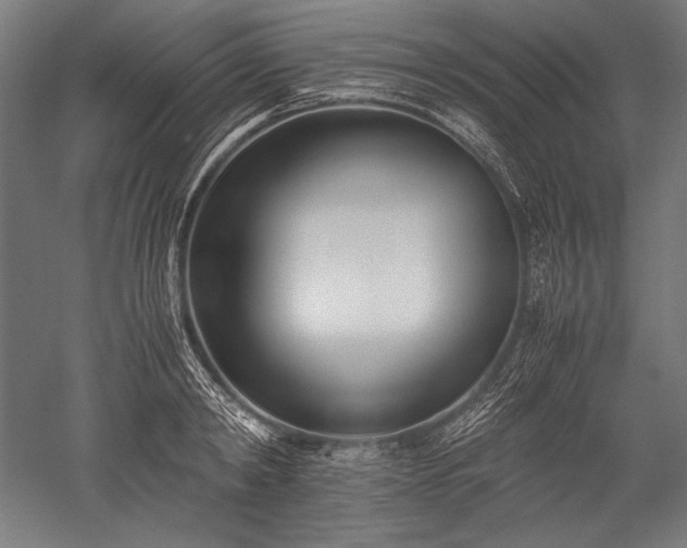 X0000052550798200507081608