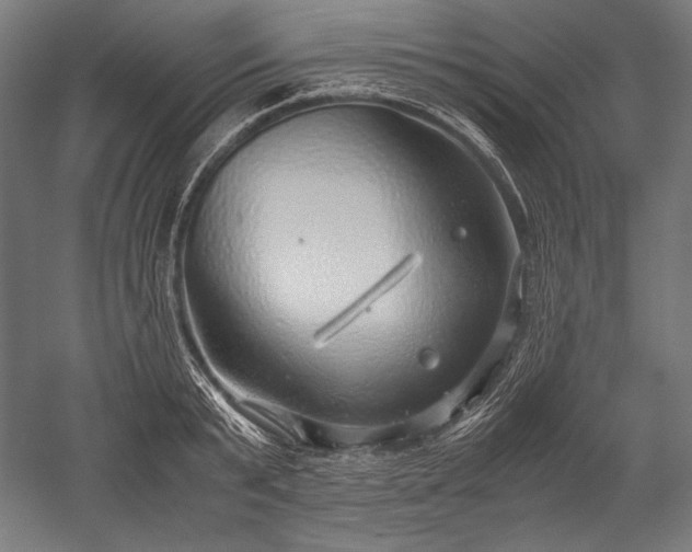 X0000052550799200507081608