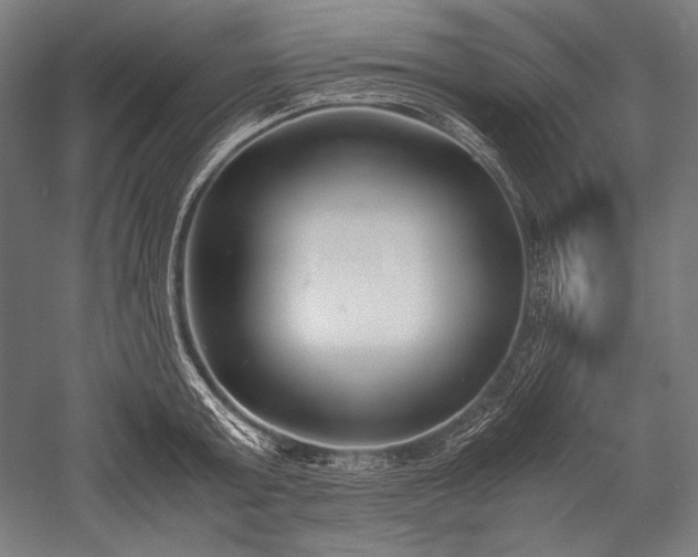 X0000052550803200507081608