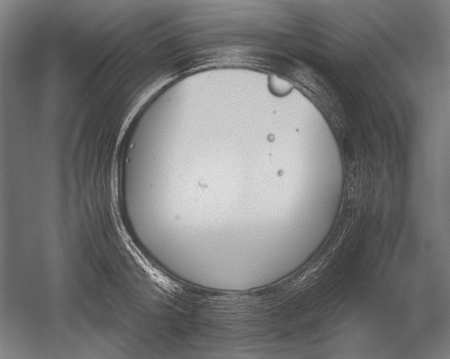 X0000052550804200507081608