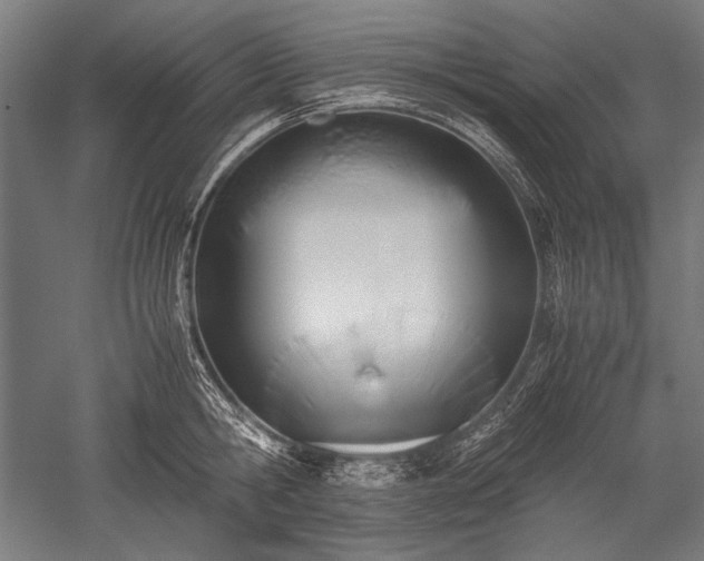 X0000052550806200507081608