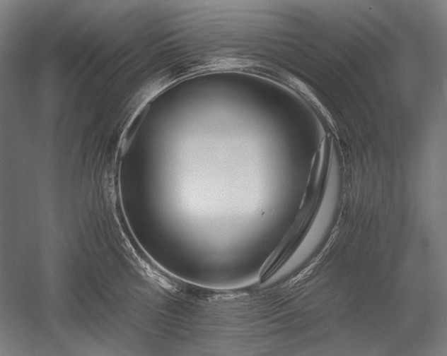 X0000052550810200507081608