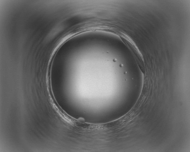 X0000052550811200507081608