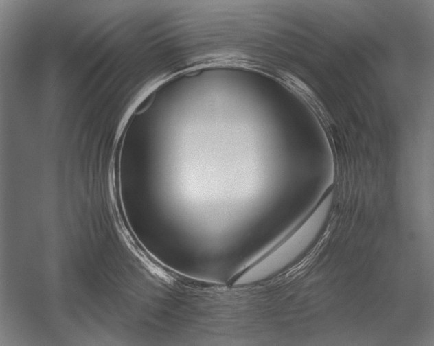 X0000052550812200507081608