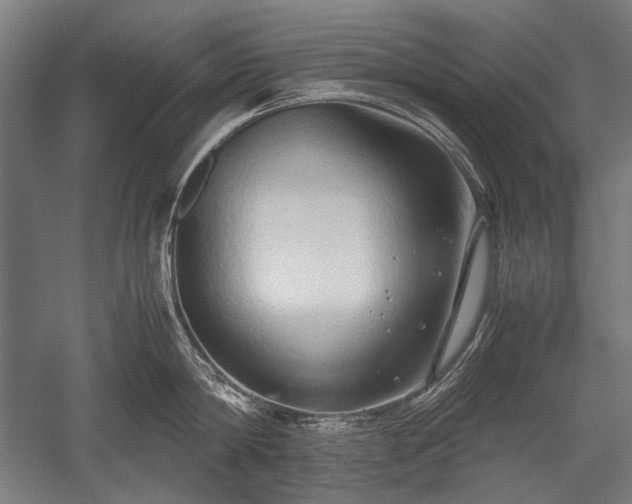 X0000052550814200507081608