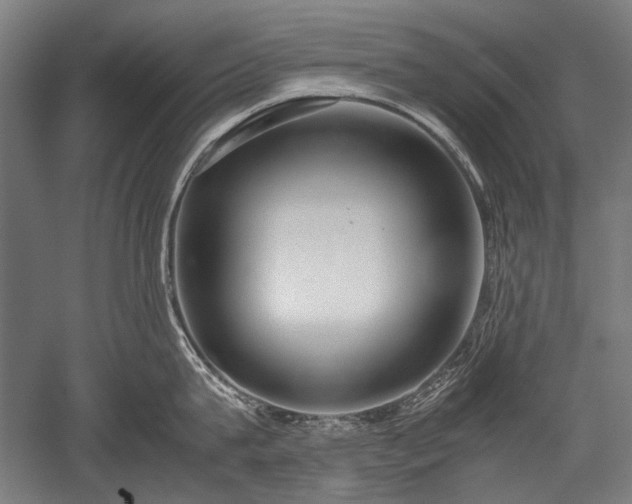 X0000052550815200507081608