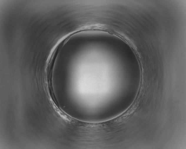 X0000052550816200507081608