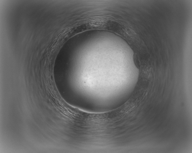 X0000052550817200507081607