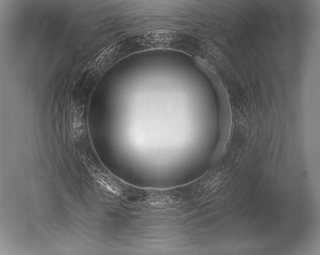 X0000052550818200507081607