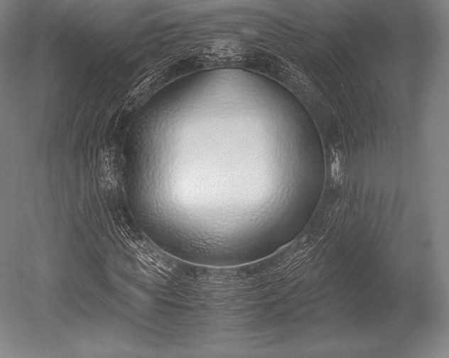 X0000052550819200507081607