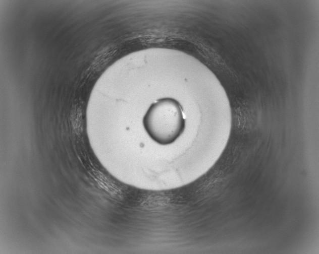 X0000052550820200507081607